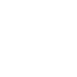 LinkedIn Icon
